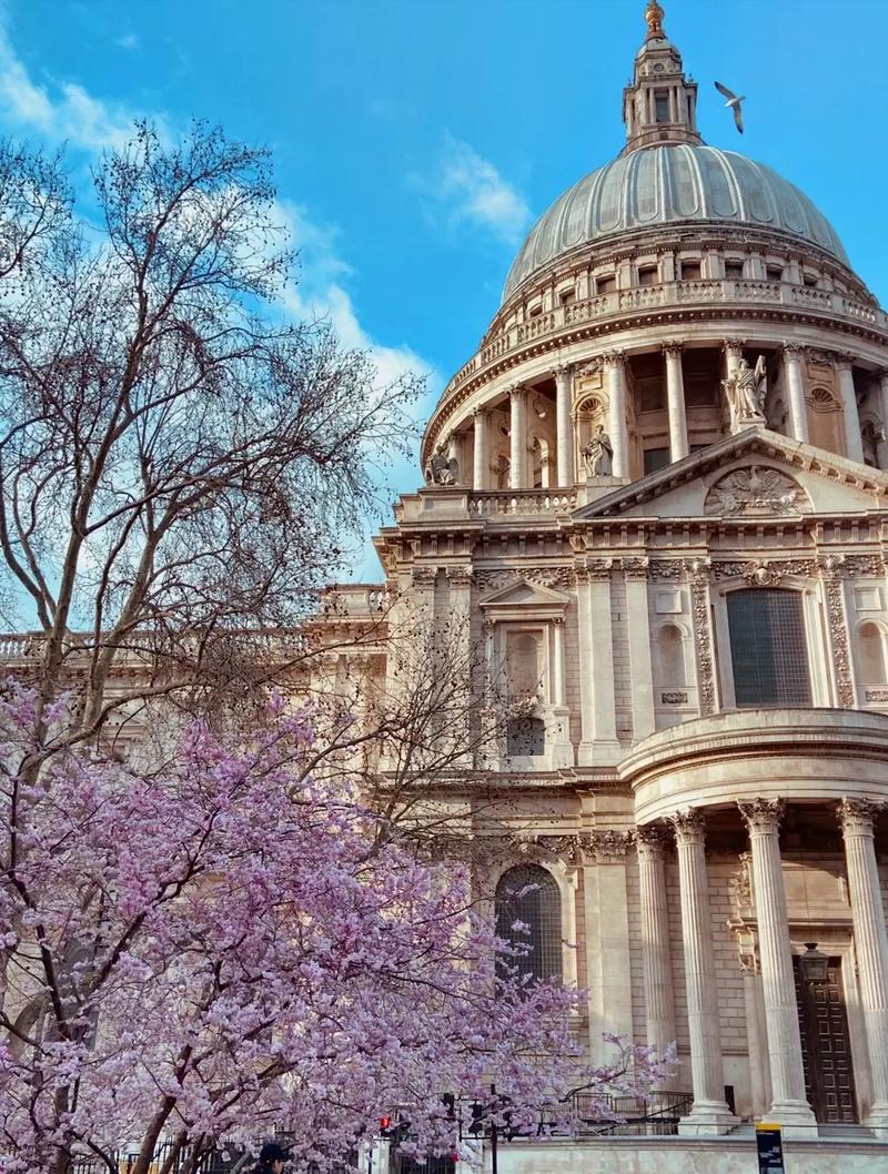 新泽西理工大学