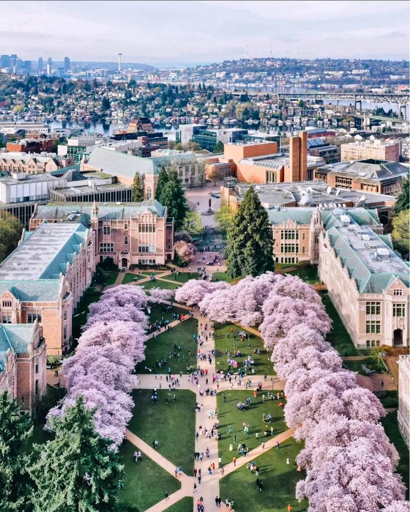 加州大学圣塔芭芭拉分校